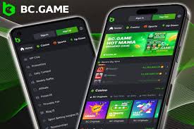 BC Game Crypto Casino The Future of Online Gambling